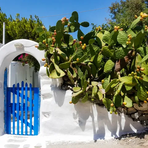 Traditional blue gate in Paros